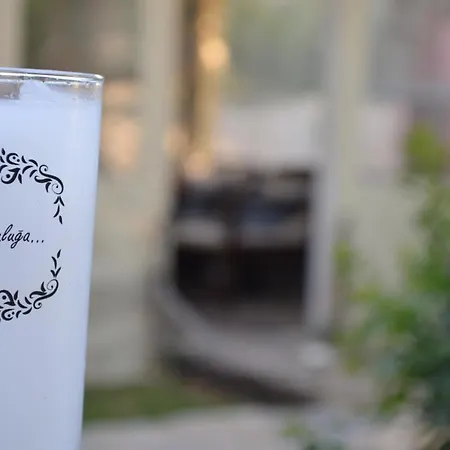 Gölgenin Bahçesi Kızilbahçe